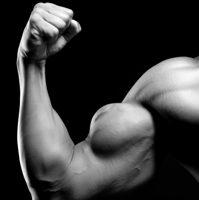 Tommaso Volker, masculinity and virile presence